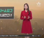 [날씨]오늘 서쪽지방 고농도 미세먼지…밤사이 많은 지역 눈