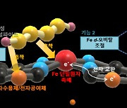 리튬이온전지 대비 30% 에너지 저장량 높은 차세대 이차전지 나와