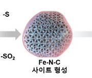 KAIST·포스텍·LG엔솔, 고성능 리튬 황 전지 개발…"리튬이온 대비 에너지 밀도 30% 향상"