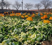 전남도, 공공형 계절근로제로 봄철 농번기 인력 30만 명 확보