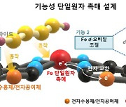 KAIST 연구팀, 기존보다 30% 높아진 리튬-황 전지 개발