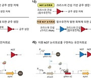 [지금은 과학] 항생제 사용 줄이는 세포선별 시스템 개발