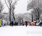 태백산 눈축제, 눈과 귀 즐거울 다채로운 프로그램 ‘풍성’