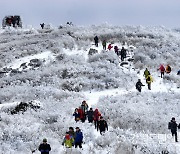 설 연휴 귀성·귀경길, 비·대설·한파에 강풍 몰아진다