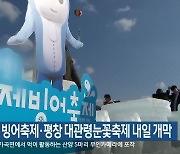 인제 빙어축제·평창 대관령눈꽃축제 내일 개막