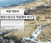 [기후K] 엉뚱한 나무 심고 “습지 복원”…정책도 멀었다