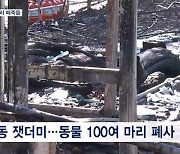 실내동물원 불나 토끼·앵무새 등 100여 마리 떼죽음…화인은 온열기?