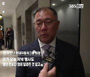 [다보스에서 만난 인물] 정의선 회장 "제네시스, 엑스포 홍보 만족스럽습니다"