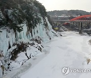 강원도 추위 실감나네