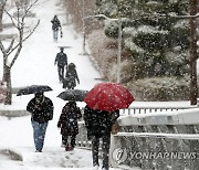 광주·전남 설 연휴 마지막날 많은 눈…강추위도