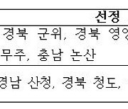 "문화로 지역활력 촉진"…횡성 등 지자체 14곳 선정