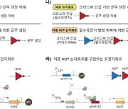 항생제 없이 바이오 제조공정 유전자재조합 세포 선별