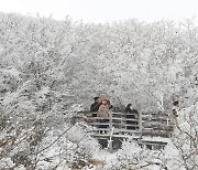 대한에 즐기는 한라산 설경