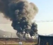 경북 경주 축사 화재...돼지 2천100여 마리 폐사