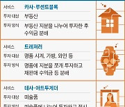 미술품·저작권 등 지분 쪼개는 ‘조각 투자’ 편해진다