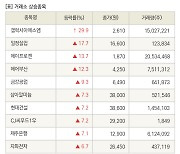 [fnRASSI]장마감, 거래소 상승 종목(갤럭시아에스엠 29.9% ↑)