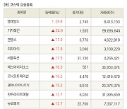 [fnRASSI]장마감, 코스닥 상승 종목(텔레필드 29.8% ↑)