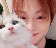 강다니엘, 고양이와 함께 다정 셀카…팬들 샘나겠네