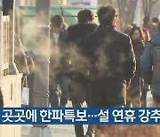 대전·세종·충남 곳곳에 한파특보…설 연휴 강추위