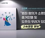 김성태 전 쌍방울 회장 구속…"증거인멸·도주우려"