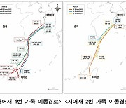 천연기념물 저어새, 월동경로 위치추적 놀라운 결과 "부모·자식이…"