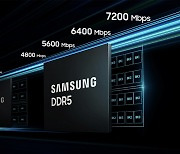 DDR5, 반도체株 하반기 수익성 개선의 열쇠 [투자360]