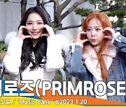 프림로즈(PRIMROSE), 장미빛 볼하트(뮤직뱅크 출근길)[뉴스엔TV]