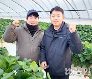 [한국농업 희망일기] ‘딸기 육종’ 10년만에 성과…“프리미엄 품종으로 일본 앞설것”