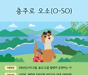 충북 곳곳서 머무는 관광 선보인다