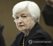 Yellen Africa