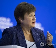 IMF 총재, 미·EU 녹색산업 지원 비판…"개도국에 부정적 영향"