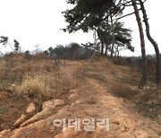 이번주 최고가 안성 토지, 138억…여의도 미성 15.8억[경매브리핑]