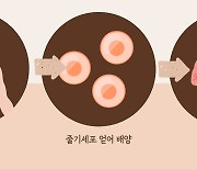 美, 신약개발시 동물실험 의무 풀었다…주목받는 대체실험은