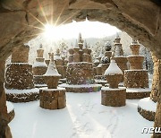 대청호 오백리길·상소동 산림욕장·테미오래…대전 관광 '여기'