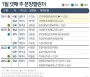 [분양캘린더]설 연휴 한산한 분양시장…전국서 160가구 공급