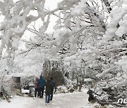 설 연휴 맞아 주요 관광지 '인산인해'…고속도로 정체는 오후들어 해소