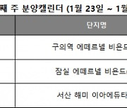 1월 넷째 주, 전국 175가구 공급…설 연휴로 분양시장도 한산