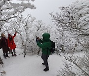 한라산 영실기암과 병풍바위 눈꽃 설경 보시렵니까