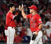 LAA에서는 언감생심…'오타니 vs 트라웃' WBC에서 무관 한풀이 도전