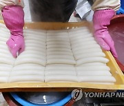 설 음식 '소비기한'은 얼마?…가래떡 3일·냉장만두 9∼11일