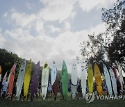 Hawaii Big Wave Surfing