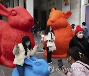 Hong Kong Lunar New Year