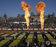 Netherlands Tulip Day