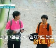 '장윤정♥' 도경완 "'환혼' 찍을 만하네" 왕대나무숲 감탄 (떠나보면 알 거야)