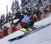 AUSTRIA ALPINE SKIING