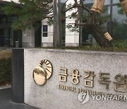 금감원, 현대차 금융복합기업집단에 내부통제 주의 요구