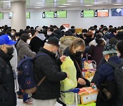 제주 폭설·강풍·한파특보…24일 항공편 대부분 결항