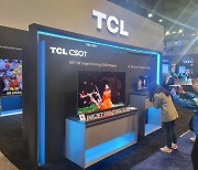 LG전자 텃밭 'OLED TV 시장' 도전 거세진다