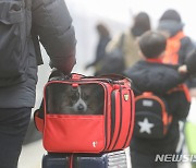 안전한 귀경길 되려면? "터널 출입구 주의하라"