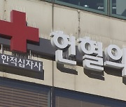 "희귀 혈액 구합니다"…연초에 더 절실한 헌혈